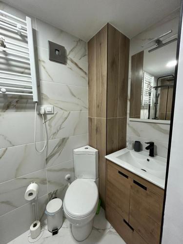a bathroom with a toilet and a sink at Piso De Balboa Wi-Fi, Air-Con in Gandía
