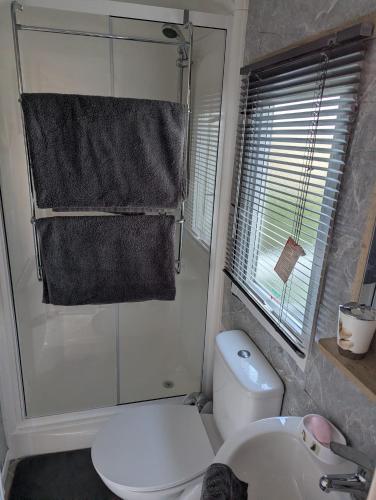 a bathroom with a white toilet and a sink at Arnside abode in Morecambe