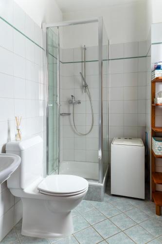 a bathroom with a shower and a toilet and a sink at Ca' di Pincia in Astano