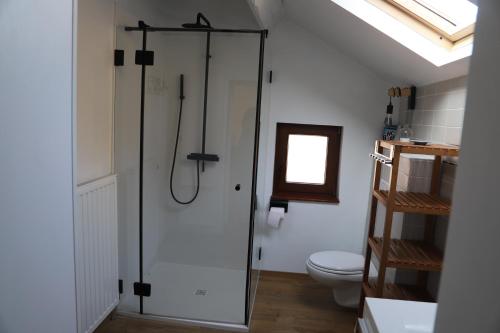 a bathroom with a shower and a toilet at Pause-toit, Le gîte de Mozet. in Gesves