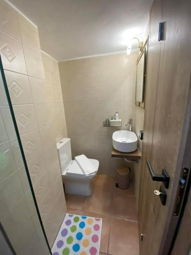a small bathroom with a toilet and a sink at Vattediko in Pyrgi