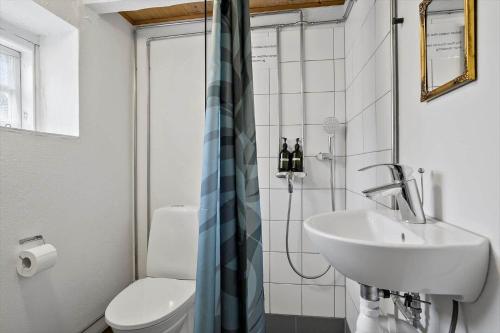 a bathroom with a sink and a toilet and a shower at 20313-Samso-Orby-Hovedgade-53 in Brundbymark