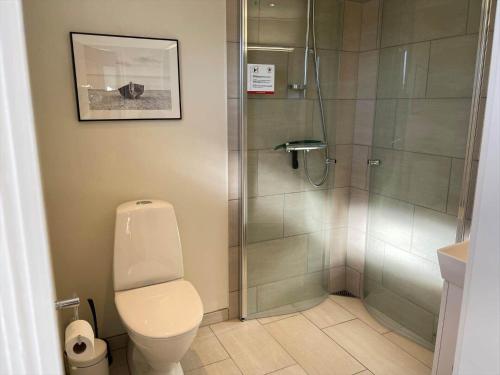 a bathroom with a shower stall and a toilet at 20206-Samso-Haardmark-Mark-7 in Kolby Kås