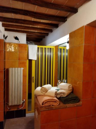 a bathroom with a shower and a bed with towels at Romantic loft in Pitigliano
