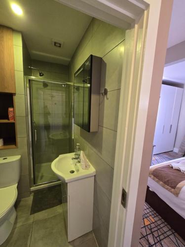 a bathroom with a sink and a shower and a toilet at KGT House in Dublin
