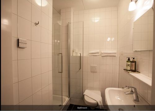 a bathroom with a shower and a toilet and a sink at Stationsstraat 4H in Amersfoort