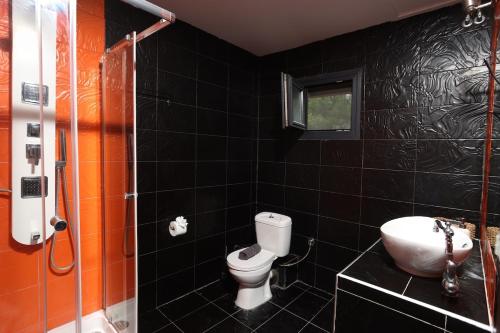 a black tiled bathroom with a toilet and a sink at Hilltop Chalet 5 in Hanioti