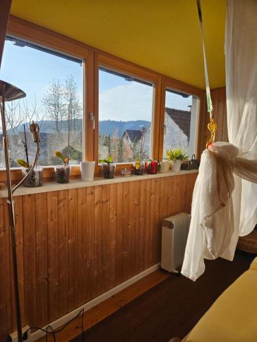 a bedroom with windows with potted plants on them at Morgensonne in Lahr
