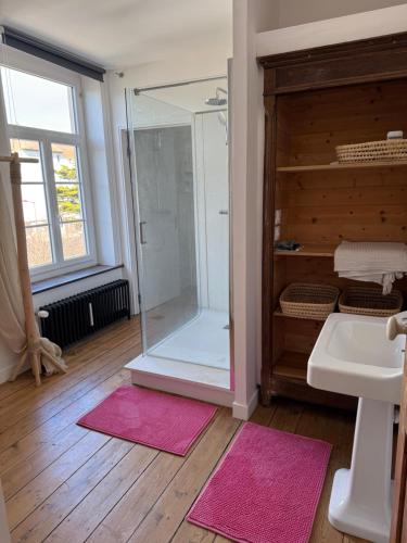 a bathroom with a glass shower and a sink at Villa Le Cygne in Wimereux