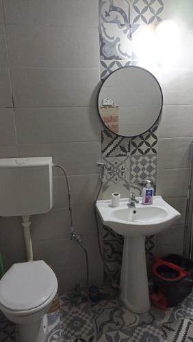 a bathroom with a toilet and a sink and a mirror at Jela - Spacious Two-Bedroom Apartment near City Center with Free Parking & Wi-Fi in Podgorica