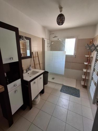 a bathroom with a shower and a sink and a mirror at La Motte in La Motte
