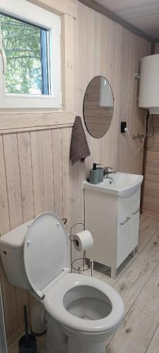 a bathroom with a white toilet and a sink at BEJOT domki nad jeziorem in Wysoki Most