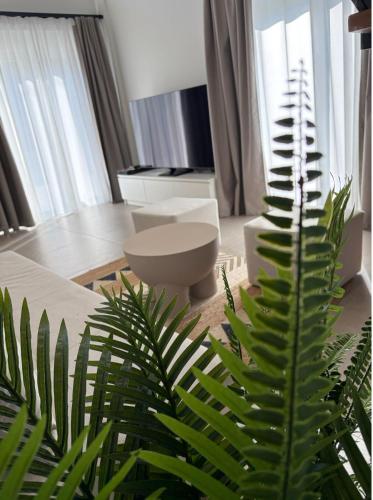 Casa Sentido