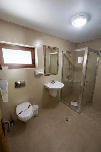 a bathroom with a shower and a toilet and a sink at Lacu Roșu Escape Lodge in Lacu Rosu