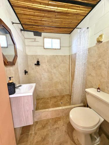 a bathroom with a toilet and a sink and a shower at La Morada Quindio cabaña campestre in Boquía
