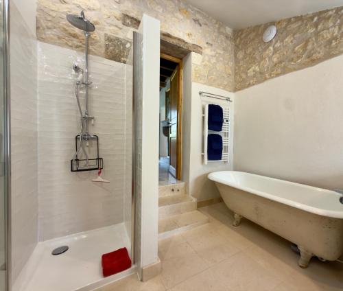 a bathroom with a bath tub and a shower at Clos de La Brelaisière in Chauvigny