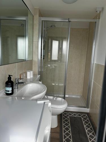 a bathroom with a shower and a sink and a toilet at Stylish Cabin in East Sussex near Newhaven ferry in Newhaven