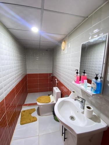 a bathroom with a sink and a toilet at Salem Wadi Rum Road in Wadi Rum