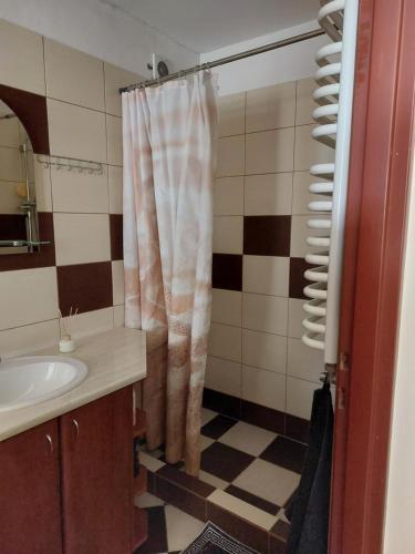 a bathroom with a sink and a shower curtain at But in Pasłęk
