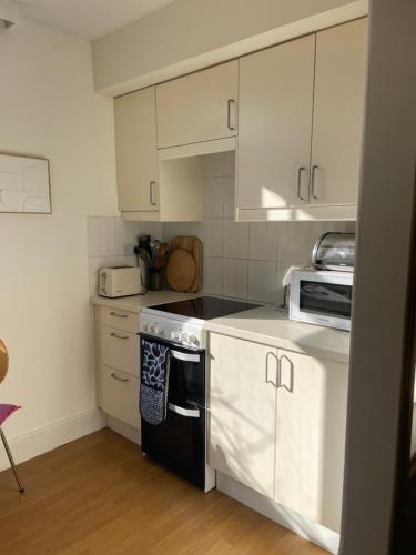 Spacious comfortable flat with free parking in East Finchley, Muswell Hill & close to Alexandra Palace photo 11