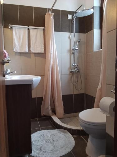 a bathroom with a shower and a toilet and a sink at Petra & Elato Art Hotel in Valtessiniko