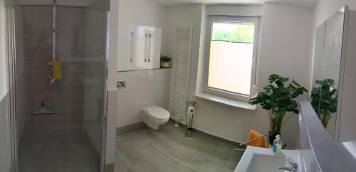 a bathroom with a shower and a toilet and a window at Apfelhof Rüdersdorf in Rüdersdorf