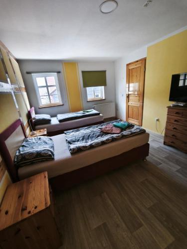 a large room with two beds and a television at Ferienwohnung Leon in Heldburg