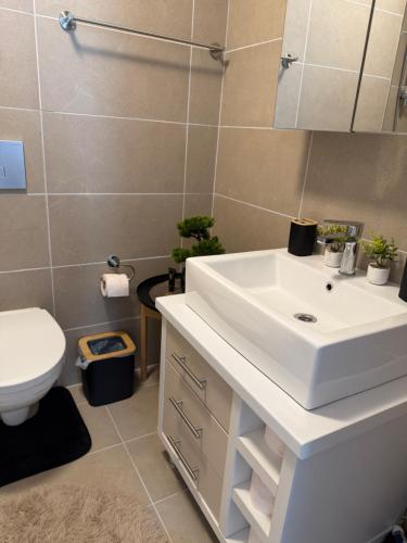 ein Badezimmer mit einem weißen Waschbecken und einer Toilette in der Unterkunft SunSet Studio by Cosmopolis in Ştefăneştii de Sus