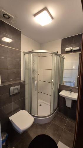 a bathroom with a shower and a toilet and a sink at Noclegi Tyczyn in Tyczyn