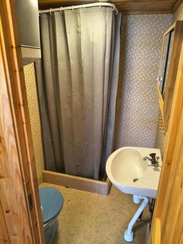 a bathroom with a sink and a toilet and a shower at Lilla Åsbo Gård in Husvallsgölen