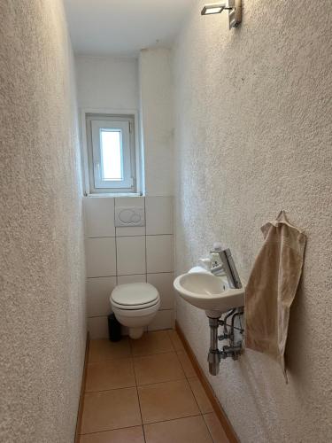 a small bathroom with a toilet and a sink at Steinlachquartier in Dußlingen