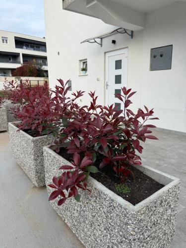 Apartment Erika - for 2 near the beach