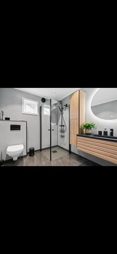 a bathroom with a sink and a toilet at Sentral og moderne base i Lofoten in Vestvågøya