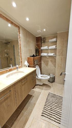 a bathroom with a sink and a toilet and a mirror at Orins place eilat in Eilat
