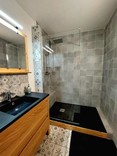 a bathroom with a sink and a shower at Appartement à Limoges, proche CHU in Limoges