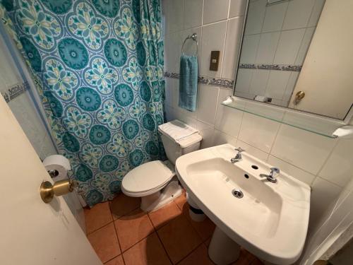 a bathroom with a sink and a toilet and a mirror at Cabañas y Domos Calafquen in Coñaripe