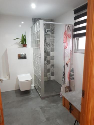 a bathroom with a shower and a toilet at Duplex en El Pouet, con ascensor in Sueca