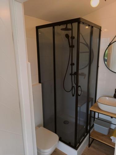 a bathroom with a shower with a toilet and a sink at Między Jeziorami in Ogonki