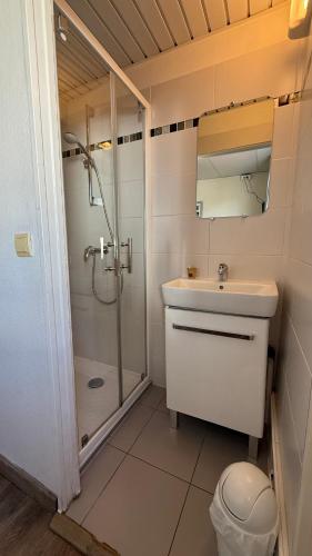 a bathroom with a shower and a sink and a toilet at Matsya Hostel in Anglet