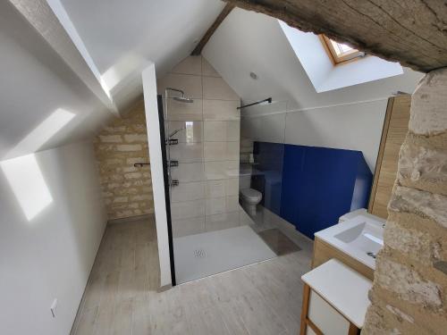 a attic bathroom with a shower and a toilet at Mon Cabanon in Tonnerre