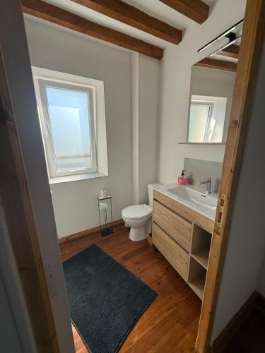 a bathroom with a sink and a toilet and a window at La maisonnette in Coulombs