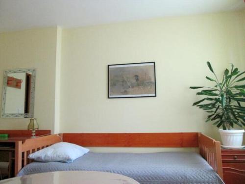a bedroom with a bed and a potted plant at Room Zox Gluten-free in Vukovar