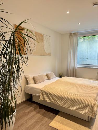 a bedroom with a bed and a potted plant at Modern Luxury Apartment in Karsau