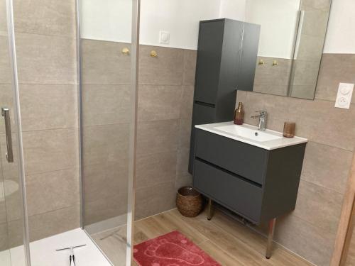 a bathroom with a sink and a shower at Le Charme de Colmar B&B in Colmar