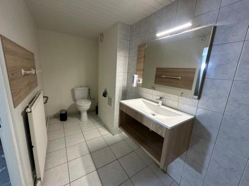 a bathroom with a sink and a toilet at NOROTEL Eco in Brumath