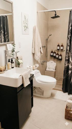 a bathroom with a sink and a toilet and a shower at Eco-Loft Ixtapan de la Sal in Ixtapan de la Sal