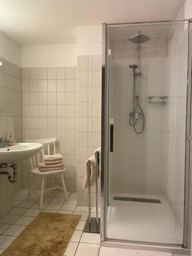 a bathroom with a shower and a sink at Achtern - Diek - am Strand in Zingst