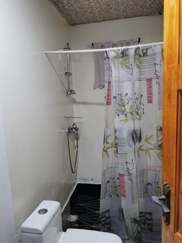 a bathroom with a toilet and a shower curtain at Demba Dou Suites Gardens in Batukunku