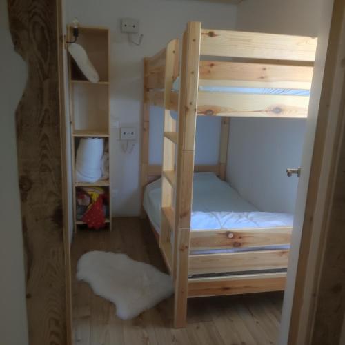 a bunk bed in a room with a bunk bed in a room at CHEZ FLORENT ET CELINE in Queige