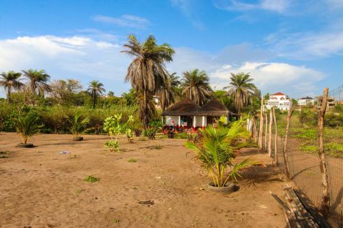 a yard with palm trees and a house with a fence at Demba Dou Suites Gardens in Batukunku